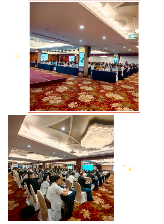 1748486977280178.png 1748486972525.png